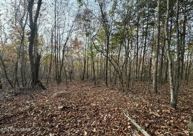 Photo 3 of House for sale at 0 Three Point Tract 3 Rd, Vonore, TN 37885 | MLS# 3541984 | Listing updated on 2026-09-11