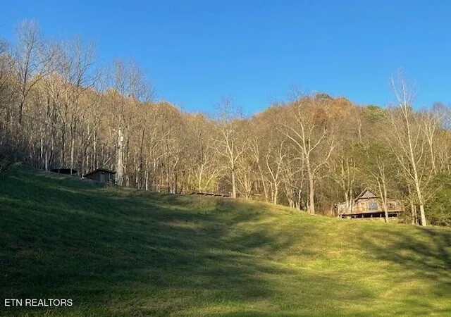 Single family home for sale at 360 Spurlock Holw Ln, Gainesboro, TN 38562 | MLS# 3221734