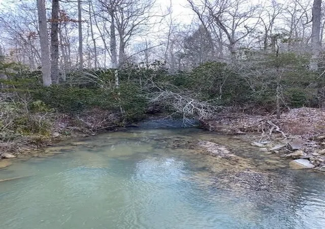 Photo 1 of Land for sale at 142 Cole Rd, Deer Lodge, TN 37726 | MLS# 3222934 | Listing updated on 2026-09-11