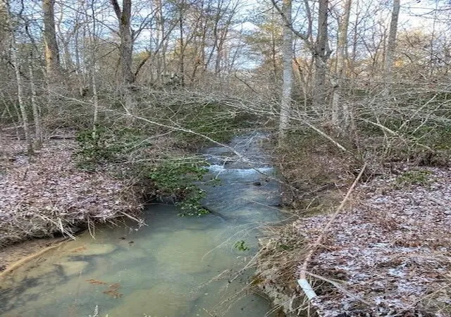 Photo 2 of Land for sale at 142 Cole Rd, Deer Lodge, TN 37726 | MLS# 3222934 | Listing updated on 2026-09-11