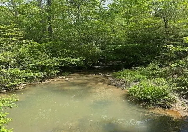 Photo 3 of Land for sale at 142 Cole Rd, Deer Lodge, TN 37726 | MLS# 3222934 | Listing updated on 2026-09-11