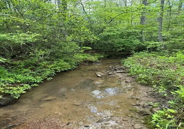 Photo 3 of Land for sale at 142 Cole Rd, Deer Lodge, TN 37726 | MLS# 3222934 | Listing updated on 2026-09-11