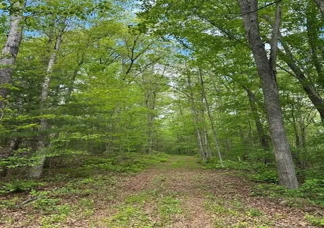 Photo 4 of Land for sale at 142 Cole Rd, Deer Lodge, TN 37726 | MLS# 3222934 | Listing updated on 2026-09-11