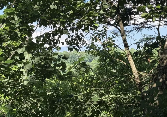 Photo 1 of Land for sale at 214 Middle Ridge Rd, Beersheba Springs, TN 37305 | MLS# 3222981 | Listing updated on 2026-09-11