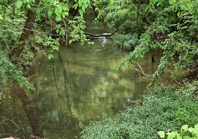 Photo 3 of Land for sale at 0 Hickory Grv Rd, Morrison, TN 37357 | MLS# 3223239 | Listing updated on 2026-09-10