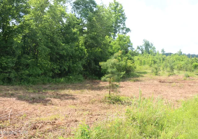 Photo 1 of Land for sale at 1 N Nopone Valley Rd, Decatur, TN 37322 | MLS# 3244226 | Listing updated on 2026-10-12