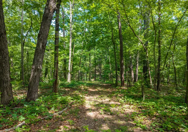 Photo 2 of Land for sale at 0 Eli Rd, Bon Aqua, TN 37025 | MLS# 3224839 | Listing updated on 2026-09-10