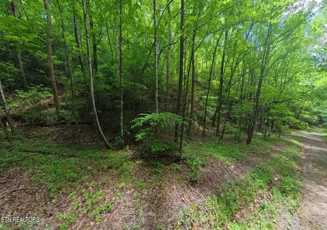 Land for sale at 195 Sherwood Ln, Harriman, TN 37748 | MLS# 3225192