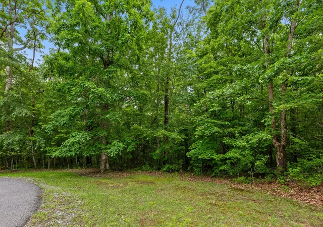 Photo 4 of Land for sale at 41 Quill Hvn Dr, Signal Mountain, TN 37377 | MLS# 3230152 | Listing updated on 2026-09-11