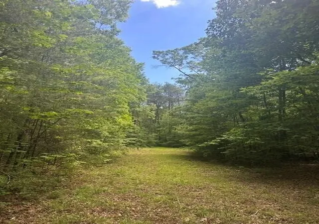 Photo 1 of Land for sale at 43 Blfs Woods, Mc Minnville, TN 37110 | MLS# 3230667 | Listing updated on 2026-09-11