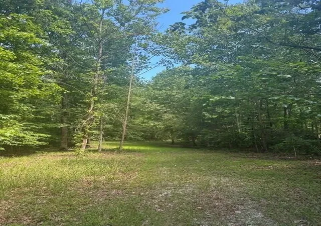 Photo 2 of Land for sale at 43 Blfs Woods, Mc Minnville, TN 37110 | MLS# 3230667 | Listing updated on 2026-09-11