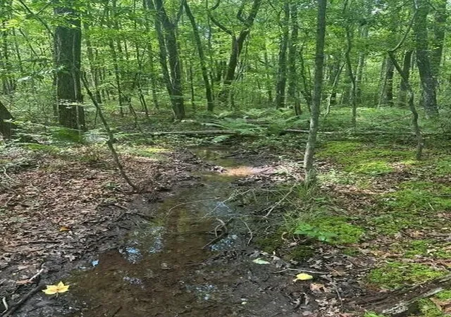 Photo 3 of Land for sale at 43 Blfs Woods, Mc Minnville, TN 37110 | MLS# 3230667 | Listing updated on 2026-09-11
