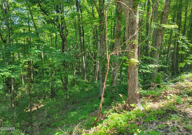 Photo 1 of Land for sale at 20 Sunset Dr, Sevierville, TN 37876 | MLS# 3314605 | Listing updated on 2026-09-11
