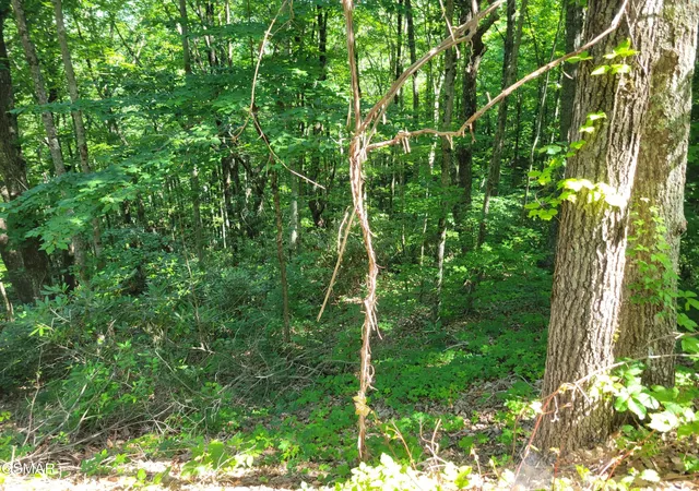 Photo 1 of Land for sale at 20 Sunset Dr, Sevierville, TN 37876 | MLS# 3314605 | Listing updated on 2026-09-11