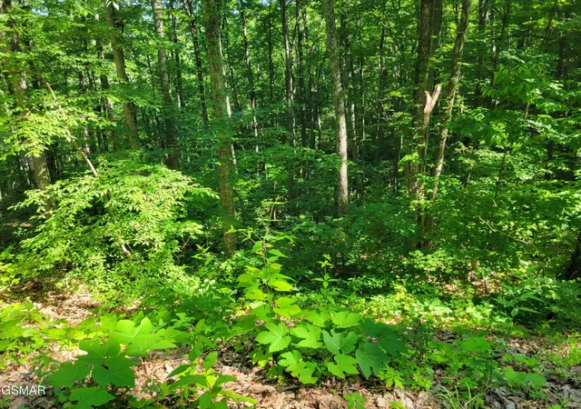 Photo 2 of Land for sale at 20 Sunset Dr, Sevierville, TN 37876 | MLS# 3314605 | Listing updated on 2026-09-11