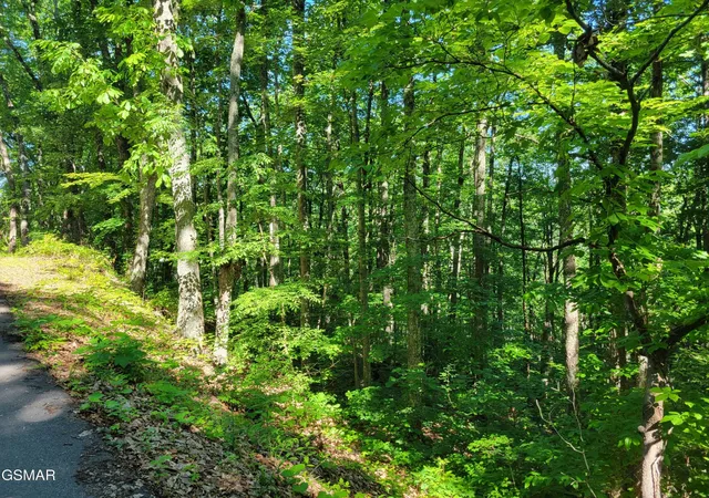 Photo 3 of Land for sale at 20 Sunset Dr, Sevierville, TN 37876 | MLS# 3314605 | Listing updated on 2026-09-11