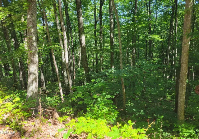 Photo 4 of Land for sale at 20 Sunset Dr, Sevierville, TN 37876 | MLS# 3314605 | Listing updated on 2026-09-11