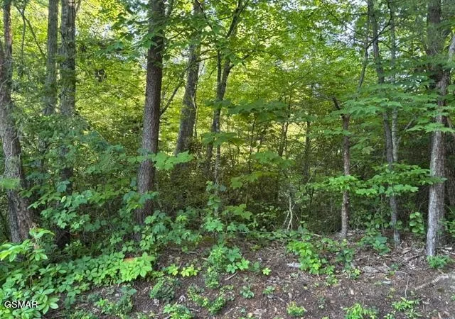 Land for sale at 1461 Ridgehigh Pass, Sevierville, TN 37876 | MLS# 3314090