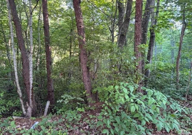 Photo 2 of Land for sale at 1461 Ridgehigh Pass, Sevierville, TN 37876 | MLS# 3314090 | Listing updated on 2026-10-27
