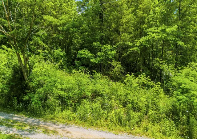 Photo 3 of Land for sale at 0 Boomer Way, Cosby, TN 37722 | MLS# 3288506 | Listing updated on 2026-09-11
