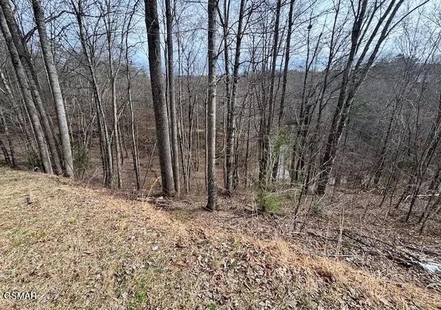 Photo 2 of Land for sale at 444 Sky View, Sevierville, TN 37876 | MLS# 3314083 | Listing updated on 2026-09-11