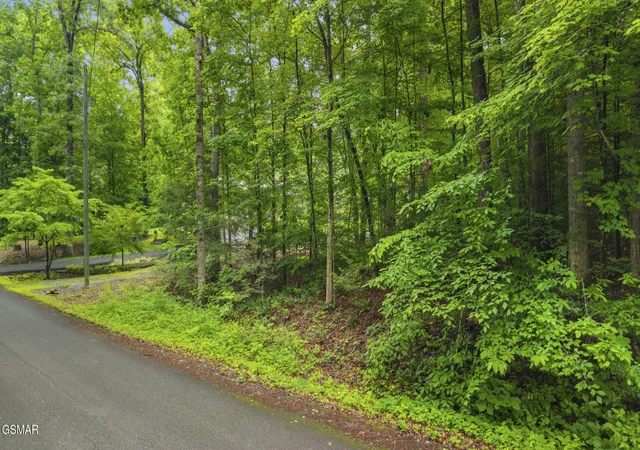 Photo 1 of Sale Pending at 0 Peach Tree St, Sevierville, TN 37862 | MLS# 3288557 | Listing updated on 2026-09-11