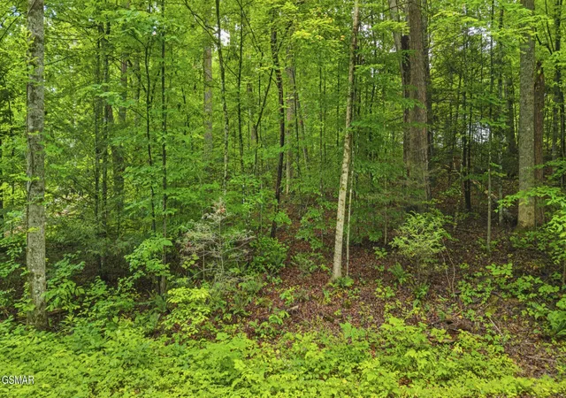 Photo 3 of Sale Pending at 0 Peach Tree St, Sevierville, TN 37862 | MLS# 3288557 | Listing updated on 2026-09-11