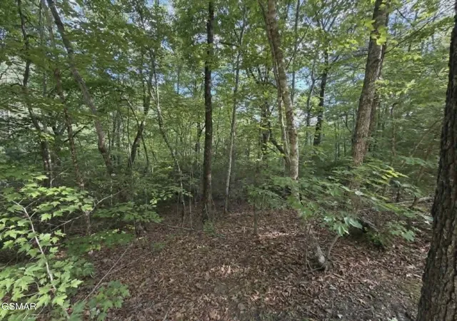 Photo 1 of Land for sale at 202122 Fox Hunters Ln, Sevierville, TN 37876 | MLS# 3270068 | Listing updated on 2026-09-11