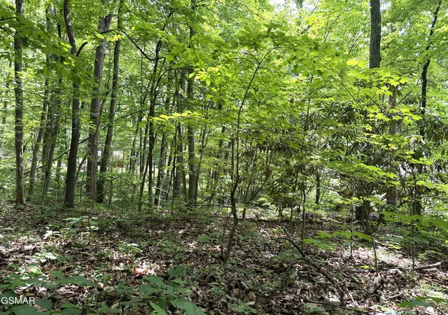 Photo 1 of Land for sale at 10 Swan Saddle, Sevierville, TN 37876 | MLS# 3548175 | Listing updated on 2026-09-21