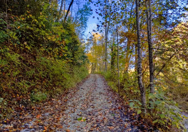 Photo 3 of Land for sale at 537 Reece Holw, Del Rio, TN 37727 | MLS# 3299376 | Listing updated on 2026-09-11