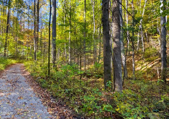 Photo 3 of Land for sale at 537 Reece Holw, Del Rio, TN 37727 | MLS# 3299376 | Listing updated on 2026-09-11
