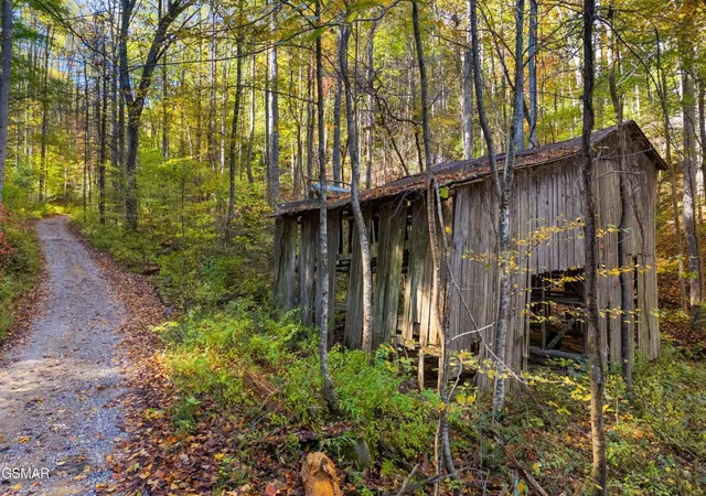 Photo 4 of Land for sale at 537 Reece Holw, Del Rio, TN 37727 | MLS# 3299376 | Listing updated on 2026-09-11