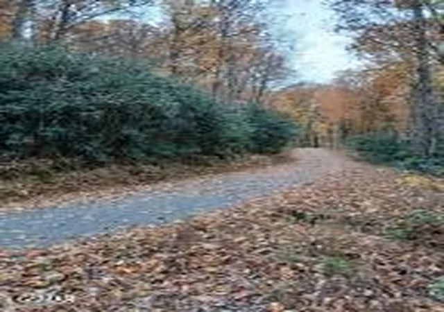 Photo 1 of Sale Pending at 3 Rocky Ridge Rd, Cosby, TN 37722 | MLS# 3314604 | Listing updated on 2026-09-14