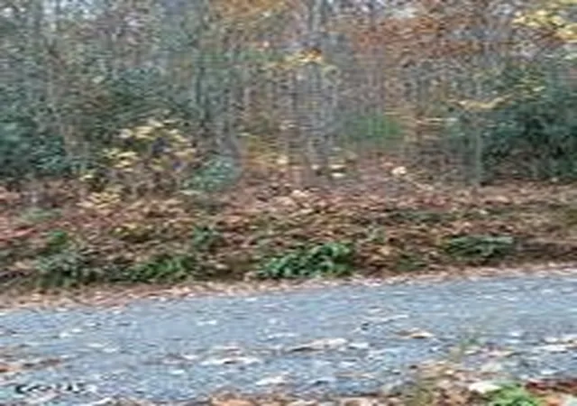 Photo 2 of Sale Pending at 3 Rocky Ridge Rd, Cosby, TN 37722 | MLS# 3314604 | Listing updated on 2026-09-14
