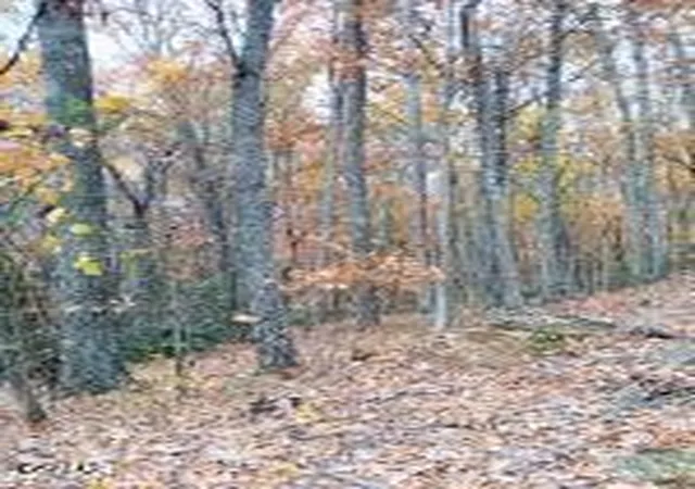Photo 3 of Sale Pending at 3 Rocky Ridge Rd, Cosby, TN 37722 | MLS# 3314604 | Listing updated on 2026-09-14