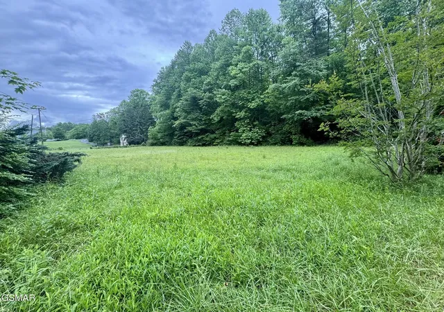 Photo 2 of Sale Pending at 0 Glades Rd, Gatlinburg, TN 37738 | MLS# 3269792 | Listing updated on 2026-09-25