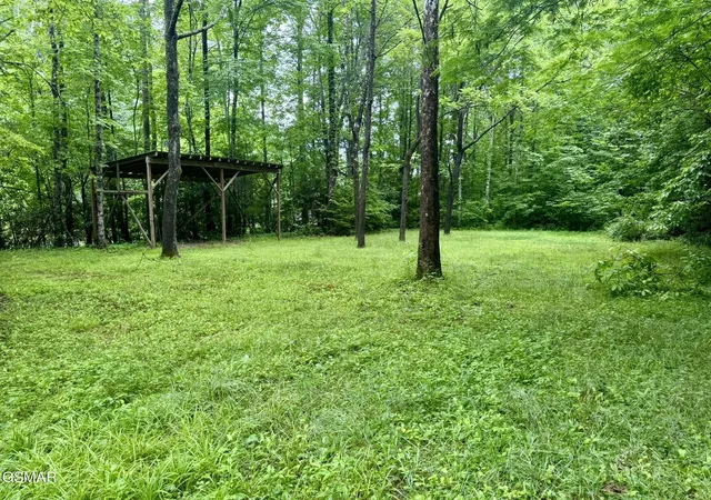 Photo 3 of Sale Pending at 0 Glades Rd, Gatlinburg, TN 37738 | MLS# 3269792 | Listing updated on 2026-09-25