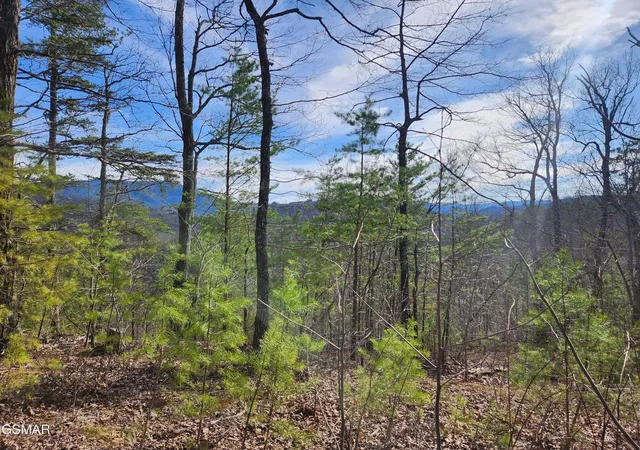 Photo 1 of Land for sale at 46 Feld Wynde Close Way, Sevierville, TN 37862 | MLS# 3302092 | Listing updated on 2026-09-11