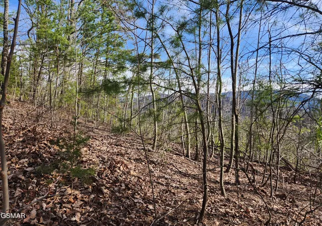 Photo 2 of Land for sale at 46 Feld Wynde Close Way, Sevierville, TN 37862 | MLS# 3302092 | Listing updated on 2026-09-11