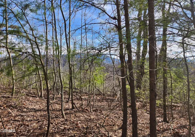 Photo 3 of Land for sale at 46 Feld Wynde Close Way, Sevierville, TN 37862 | MLS# 3302092 | Listing updated on 2026-09-11