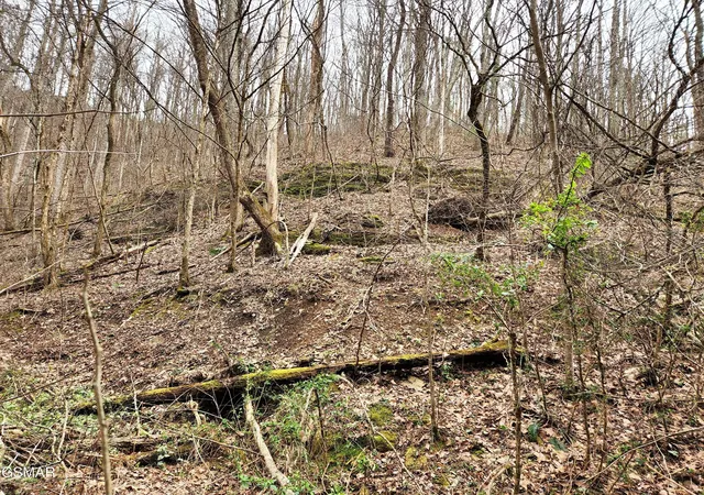 Photo 3 of Land for sale at 46 Feld Wynde Close Way, Sevierville, TN 37862 | MLS# 3302092 | Listing updated on 2026-09-11