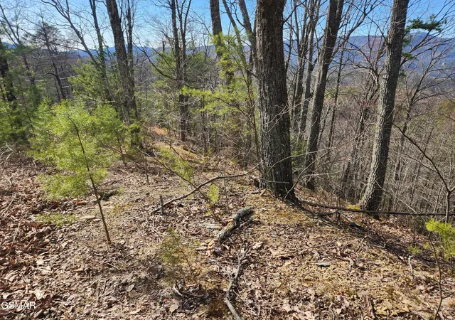 Photo 4 of Land for sale at 46 Feld Wynde Close Way, Sevierville, TN 37862 | MLS# 3302092 | Listing updated on 2026-09-11