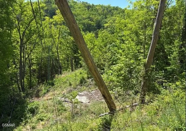 Photo 3 of Land for sale at 746 Ski Mountain Rd, Gatlinburg, TN 37738 | MLS# 3548185 | Listing updated on 2026-09-14