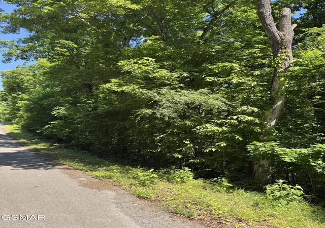 Photo 3 of Land for sale at 0 Muddy Crk Rd, Dandridge, TN 37725 | MLS# 3304064 | Listing updated on 2026-09-11