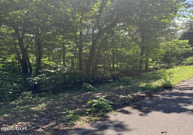 Photo 4 of Land for sale at 0 Muddy Crk Rd, Dandridge, TN 37725 | MLS# 3304064 | Listing updated on 2026-09-11