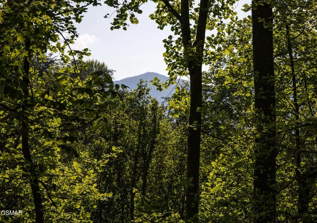Photo 2 of Land for sale at 10171035 Big Buck Trl, Townsend, TN 37882 | MLS# 3548226 | Listing updated on 2026-09-14