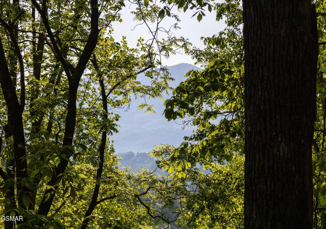 Photo 3 of Land for sale at 10171035 Big Buck Trl, Townsend, TN 37882 | MLS# 3548226 | Listing updated on 2026-09-14