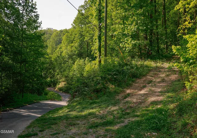 Photo 4 of Land for sale at 10171035 Big Buck Trl, Townsend, TN 37882 | MLS# 3548226 | Listing updated on 2026-09-14
