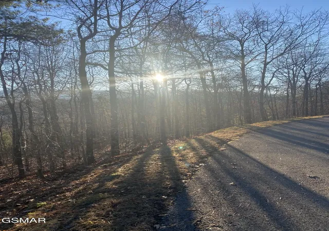 Photo 4 of Land for sale at 7 Lightning Bug Way, Gatlinburg, TN 37738 | MLS# 3289838 | Listing updated on 2026-10-09