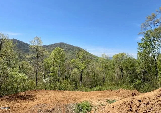 Photo 2 of Land for sale at 520 Stevia Way, Cosby, TN 37722 | MLS# 3519179 | Listing updated on 2026-09-11